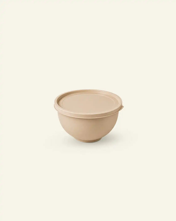 Salat (Mittel) ×1