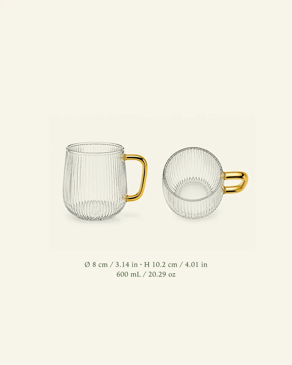 Glass Mugs with Handle - Set of 6 - dimensions